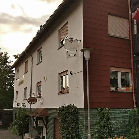 Hotel Alte Muehle 2*