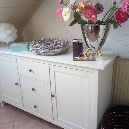 Hotel Alte Muehle 2*